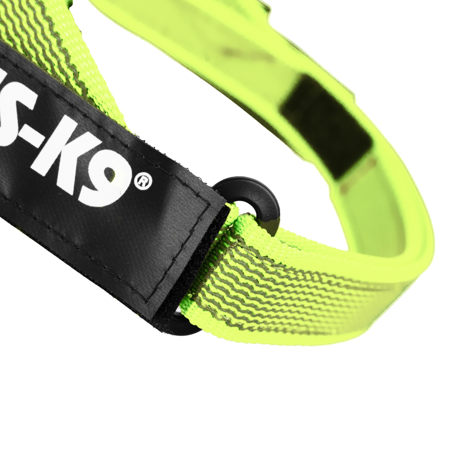 Arn&eacute;s Julius K9 IDC Cinta Verde, , large Imagen numero 4